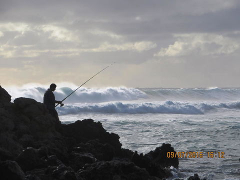 Kanga Cottage - Melbourne Tourism 44