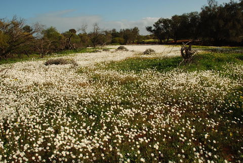 Kalbarri Seafront Villas - Melbourne Tourism 35