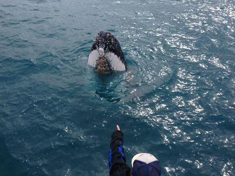 Number 72 Kalbarri Riverview Apartments - Melbourne Tourism 11