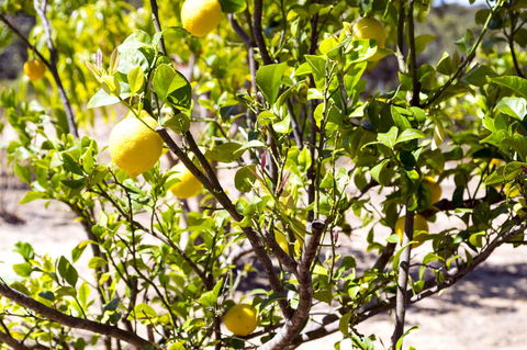 The Heights Bed & Breakfast - Melbourne Tourism 17