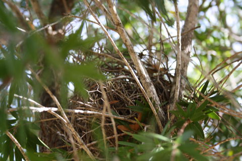 The Heights Bed & Breakfast - Melbourne Tourism 7