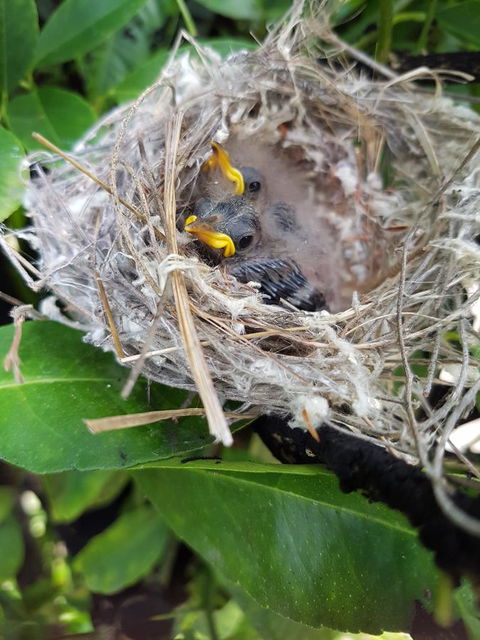 The Heights Bed & Breakfast - Melbourne Tourism 2