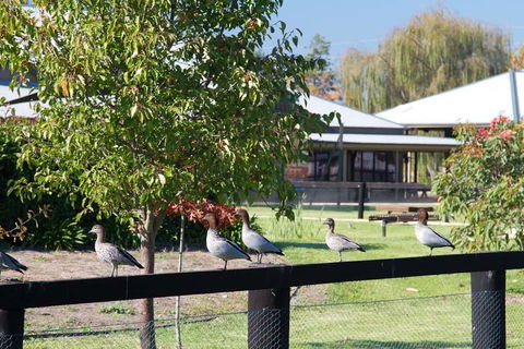 Potters Apartments - Melbourne Tourism 25