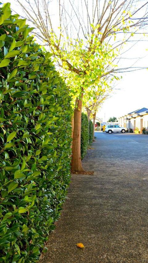 Best Western Plus Goulburn - Melbourne Tourism 37