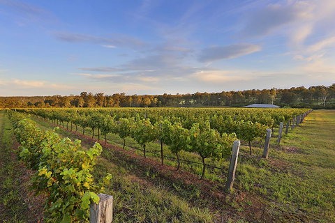 Ironstone Estate Lovedale - Melbourne Tourism 31