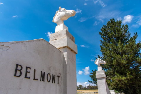 Belmont - Melbourne Tourism 4