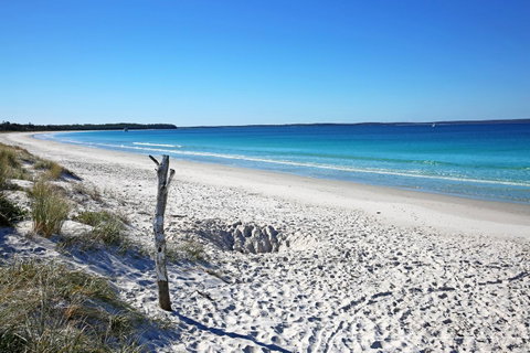Sandy Toes Beach House Jervis Bay - 2min To Beach - Melbourne Tourism 22