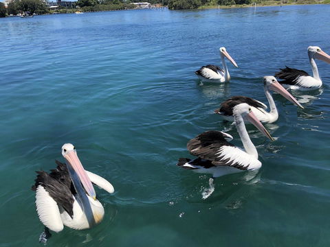 Centrepoint 10 - Melbourne Tourism 8