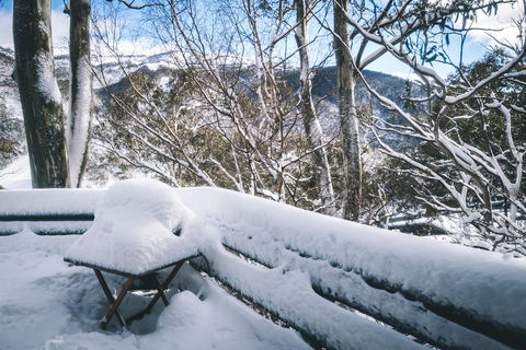 Pure Chalet Thredbo - Melbourne Tourism 19