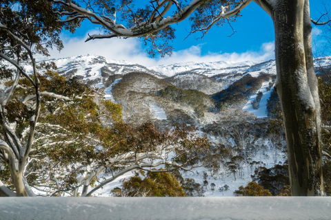 Pure Chalet Thredbo - Melbourne Tourism 17
