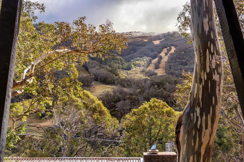 Pure Chalet Thredbo - Melbourne Tourism 35