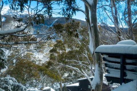Pure Chalet Thredbo - Melbourne Tourism 30