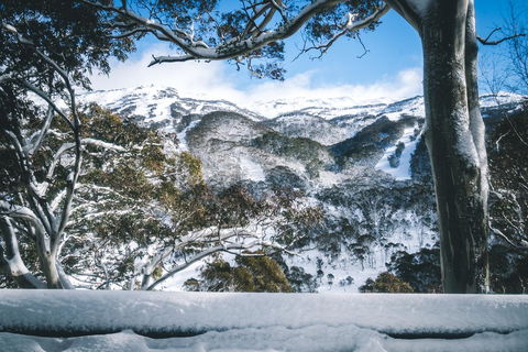 Pure Chalet Thredbo - Melbourne Tourism 2