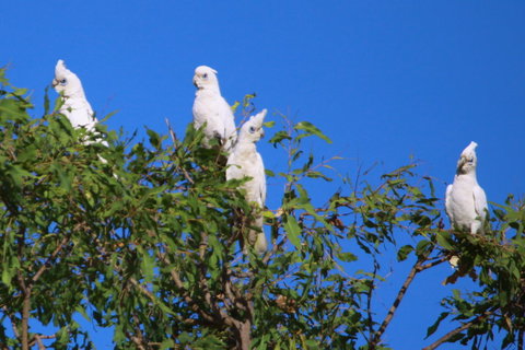 Aurora Kakadu Lodge - Melbourne Tourism 9