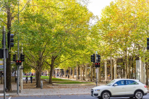 Highgate Executive Apartment City Walk Canberra - Melbourne Tourism 37