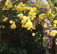 Bowral Road Bed and Breakfast - Melbourne Tourism