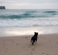 Breakers at Mudjimba Beach - Melbourne Tourism