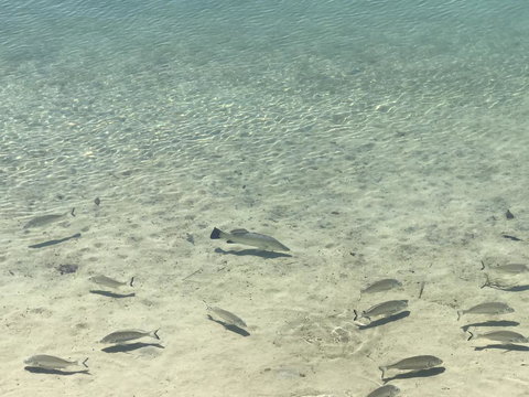 Broadbeach Waterfront Holiday House - Melbourne Tourism 1