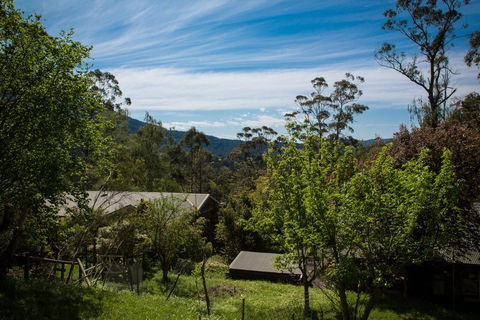 Buttercup Hill - Melbourne Tourism 2