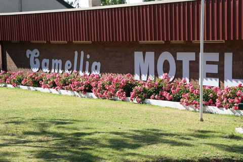 Camellia Motel - Melbourne Tourism 2