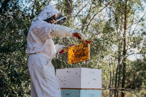 Capers Guesthouse, Barn And Cottage - Melbourne Tourism 2