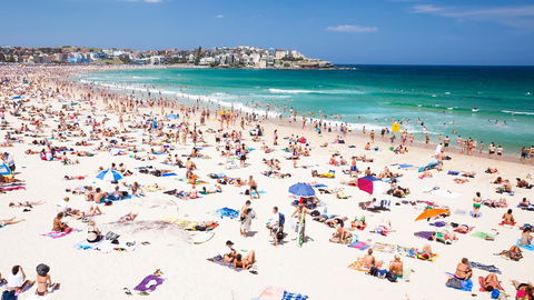 CLIFFSIDE: BONDI BEACH - Melbourne Tourism 0