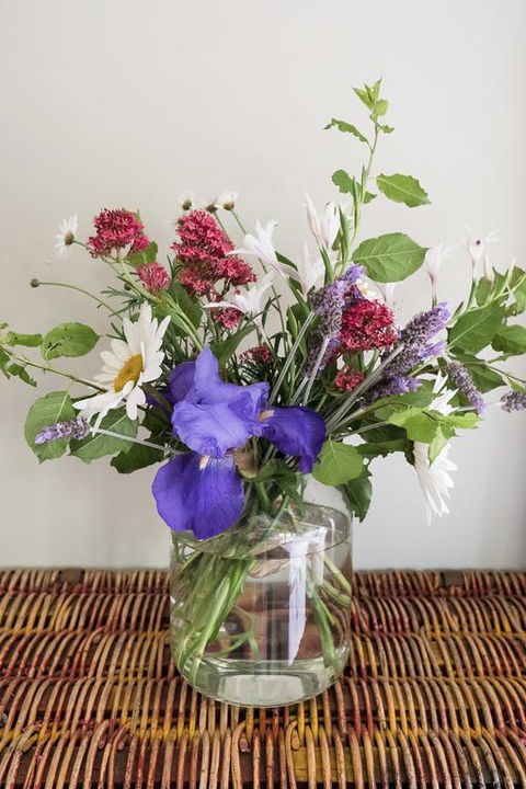 Clonmara Country House And Cottages - Melbourne Tourism 3