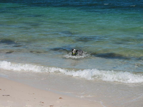 Close To The Myall River - Pet Welcome - Melbourne Tourism 3