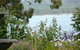 Clovelly Cottage - thumb 3