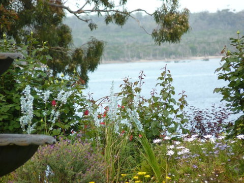Clovelly Cottage - Melbourne Tourism 3