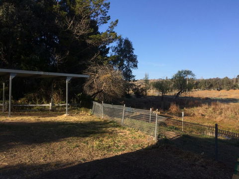 Cockatoo Corner - Armidale - Melbourne Tourism 1