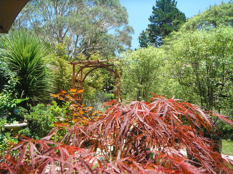 Crimson Villa - Melbourne Tourism 3