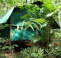 Daintree Crocodylus - Melbourne Tourism