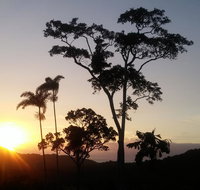 Daintree Holiday Homes - Yurara - Melbourne Tourism