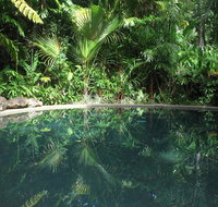 Daintree Rainforest Retreat Motel - Melbourne Tourism