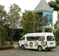 Daintree Wild Bed  Breakfast - Melbourne Tourism