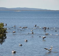 Denmark Waters BB - Melbourne Tourism
