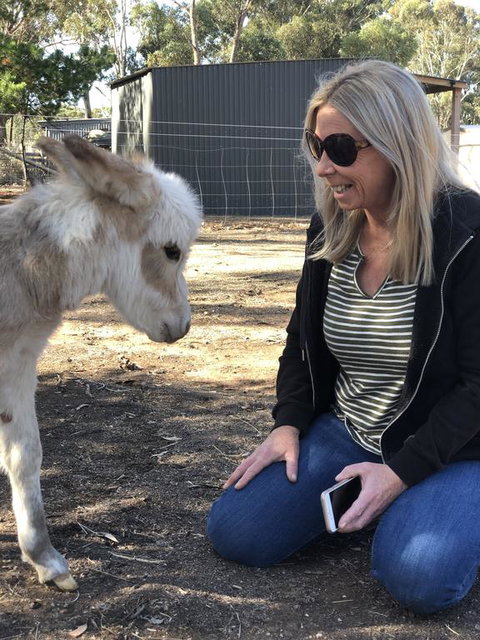 Donkey Tales Farm Cottages - Melbourne Tourism 1