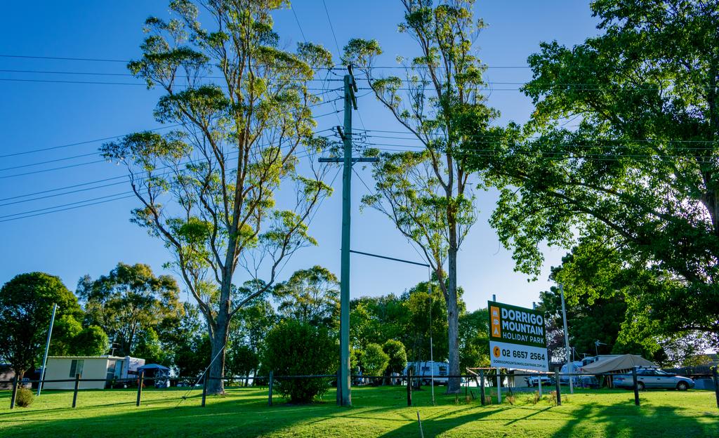 Dorrigo NSW Melbourne Tourism