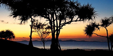 Driftwood Motel And Holiday Units - Melbourne Tourism 2