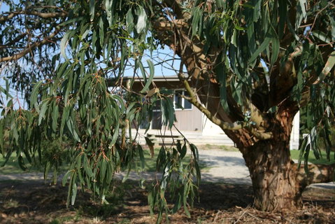 Driftwood Villas - Melbourne Tourism 3
