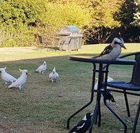 Eildon Parkview Motor Inn - Melbourne Tourism