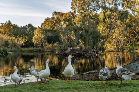 Empire Spa Retreat - Melbourne Tourism 2