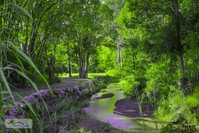 Book Esk Accommodation Vacations Melbourne Tourism Melbourne Tourism