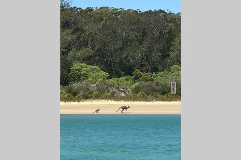 FAIRVIEW COTTAGE 25B - Waterfront Accommodation - Melbourne Tourism 0