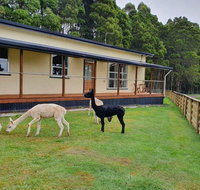 Farm Stay Lowana Strahan - Melbourne Tourism