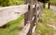 Fergusson Winery Homestead Accomodation - thumb 3