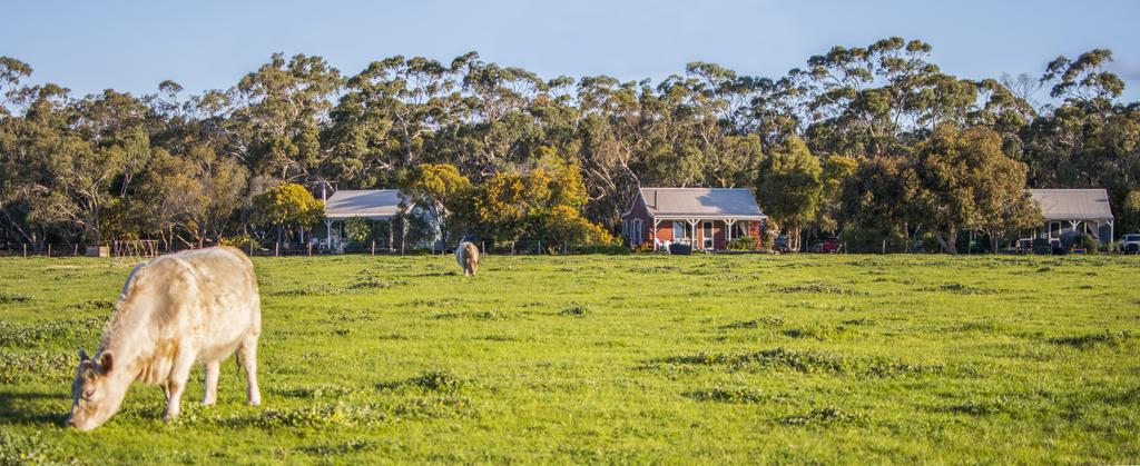 Freshwater Creek VIC Melbourne Tourism
