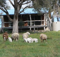 Gaddleen Grove Cottages - Melbourne Tourism