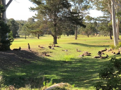 Golf View Motel - Melbourne Tourism 1